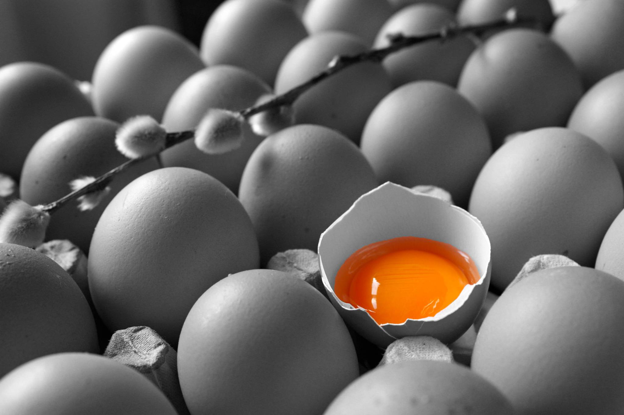 eggs-photoshop